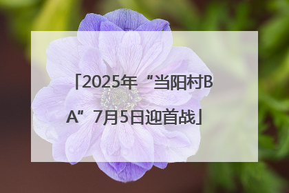 2025年“当阳村BA”7月5日迎首战