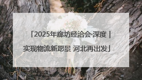 2025年廊坊经洽会·深度｜实现物流新愿景 河北再出发