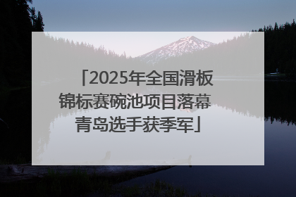2025年全国滑板锦标赛碗池项目落幕 青岛选手获季军