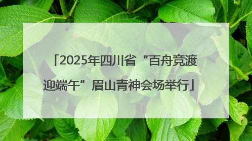 2025年四川省“百舟竞渡迎端午”眉山青神会场举行
