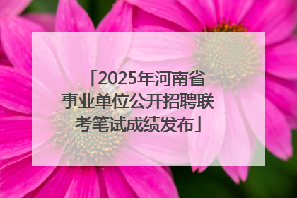 2025年河南省事业单位公开招聘联考笔试成绩发布