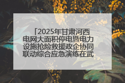 2025年甘肃河西电网大面积停电暨电力设施抢险救援政企协同联动综合应急演练在武威成功举行