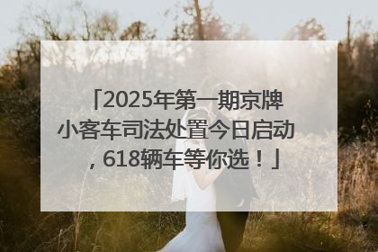 2025年第一期京牌小客车司法处置今日启动，618辆车等你选！