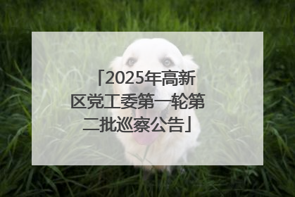 2025年高新区党工委第一轮第二批巡察公告