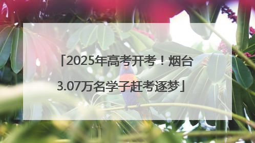 2025年高考开考！烟台3.07万名学子赶考逐梦
