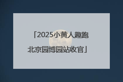 2025小黄人趣跑北京园博园站收官