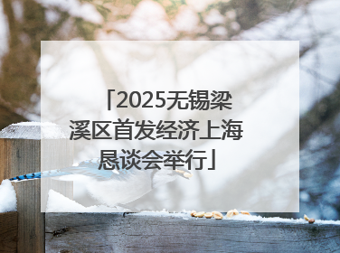 2025无锡梁溪区首发经济上海恳谈会举行