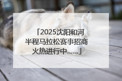 2025沈阳和河半程马拉松赛事招商火热进行中……