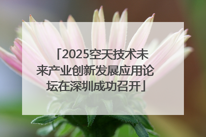 2025空天技术未来产业创新发展应用论坛在深圳成功召开