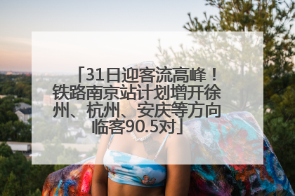 31日迎客流高峰！铁路南京站计划增开徐州、杭州、安庆等方向临客90.5对