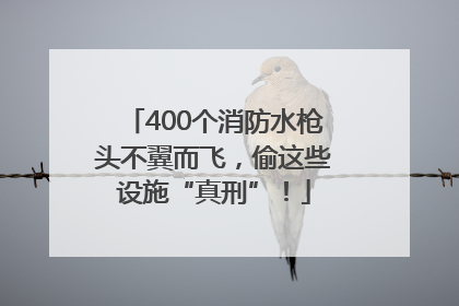 400个消防水枪头不翼而飞，偷这些设施“真刑”！