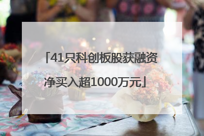 41只科创板股获融资净买入超1000万元