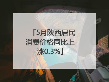 5月陕西居民消费价格同比上涨0.3%
