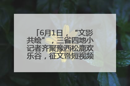 6月1日，“文影共绘”，三省四地小记者齐聚豫西松鹿欢乐谷，征文暨短视频大赛精彩启幕！