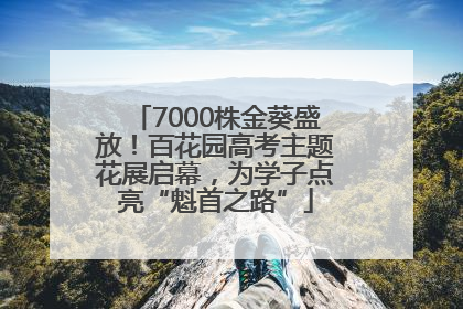 7000株金葵盛放！百花园高考主题花展启幕，为学子点亮“魁首之路”