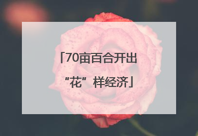 70亩百合开出“花”样经济
