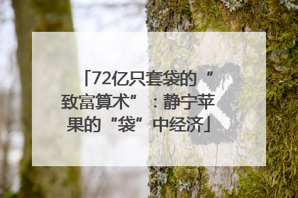 72亿只套袋的“致富算术”：静宁苹果的“袋”中经济