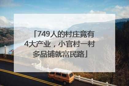 749人的村庄竟有4大产业，小官村一村多品铺就富民路