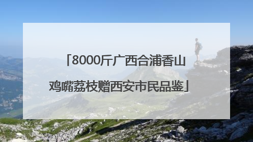 8000斤广西合浦香山鸡嘴荔枝赠西安市民品鉴