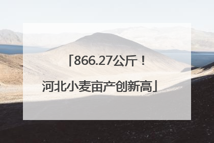 866.27公斤！河北小麦亩产创新高