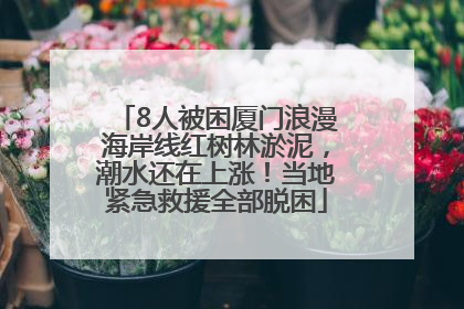 8人被困厦门浪漫海岸线红树林淤泥，潮水还在上涨！当地紧急救援全部脱困