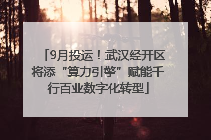 9月投运！武汉经开区将添“算力引擎”赋能千行百业数字化转型