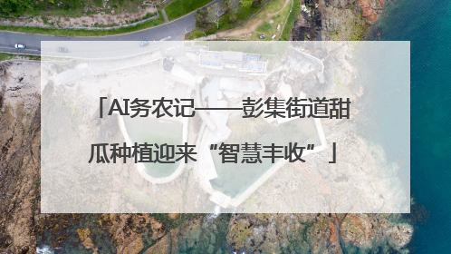 AI务农记——彭集街道甜瓜种植迎来“智慧丰收”