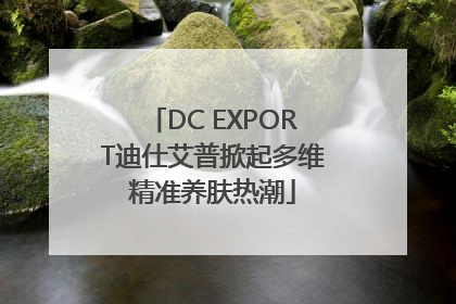 DC EXPORT迪仕艾普掀起多维精准养肤热潮