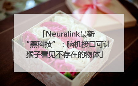 Neuralink最新“黑科技”：脑机接口可让猴子看见不存在的物体