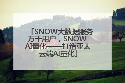 SNOW大数据服务万千用户，SNOW AI量化——打造亚太云端AI量化