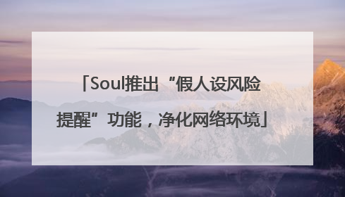 Soul推出“假人设风险提醒”功能，净化网络环境
