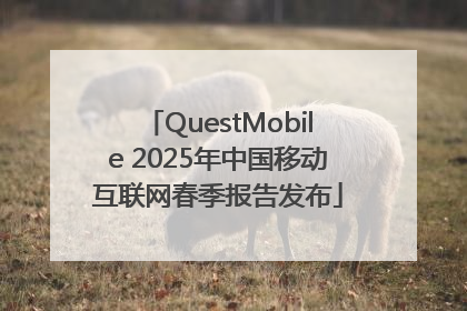 QuestMobile 2025年中国移动互联网春季报告发布