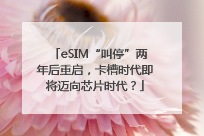 eSIM“叫停”两年后重启，卡槽时代即将迈向芯片时代？